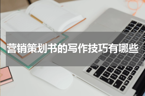 营销策划书的写作技巧有哪些