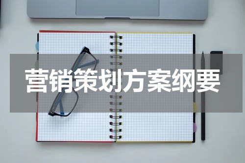 营销策划方案纲要