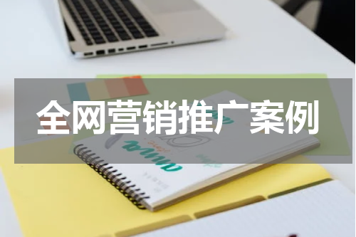 全网营销推广案例
