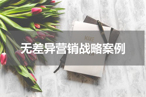 无差异营销战略案例