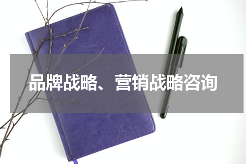 品牌战略、营销战略咨询