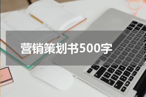 营销策划书500字