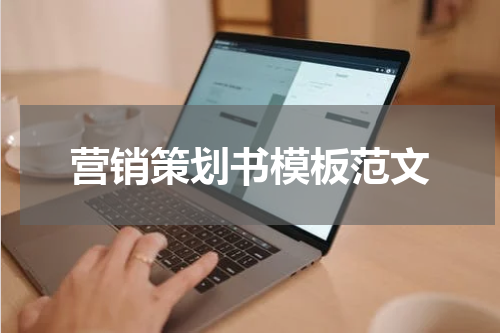 营销策划书模板范文