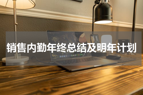 销售内勤年终总结及明年计划