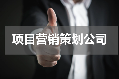 项目营销策划公司