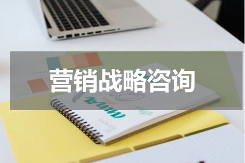 营销战略咨询