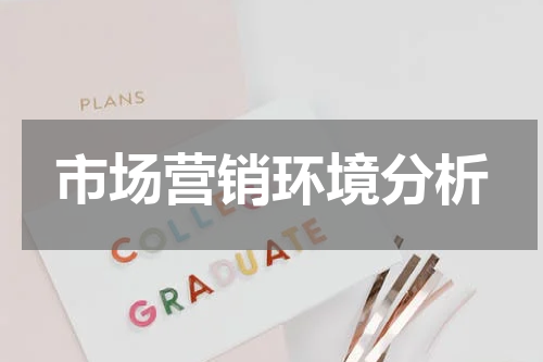 市场营销环境分析