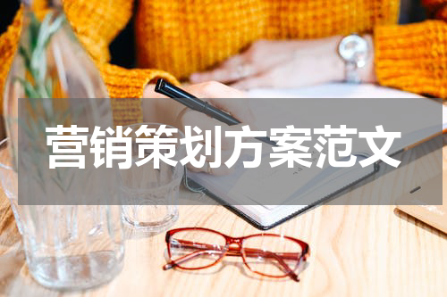 营销策划方案范文