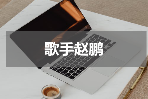 歌手赵鹏