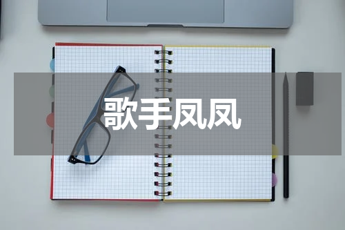 歌手凤凤