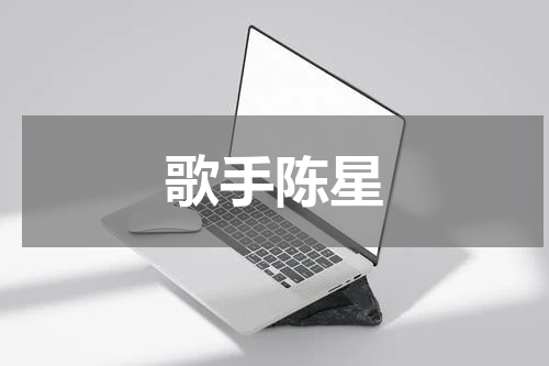 歌手陈星