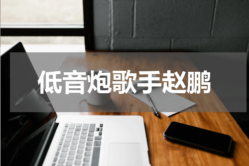 低音炮歌手赵鹏