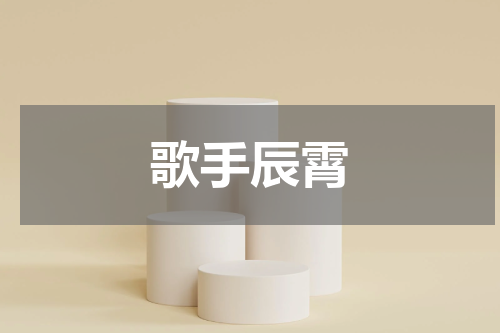 歌手辰霄