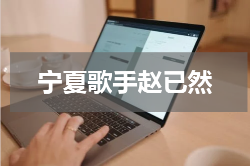 宁夏歌手赵已然