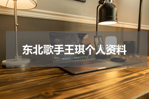 东北歌手王琪个人资料