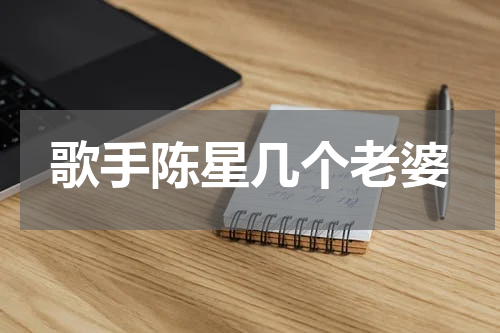 歌手陈星几个老婆