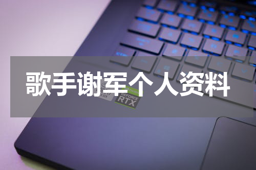 歌手谢军个人资料