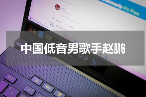 中国低音男歌手赵鹏