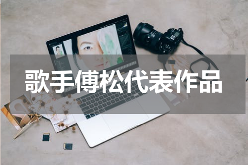 歌手傅松代表作品