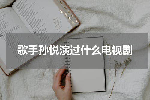 歌手孙悦演过什么电视剧