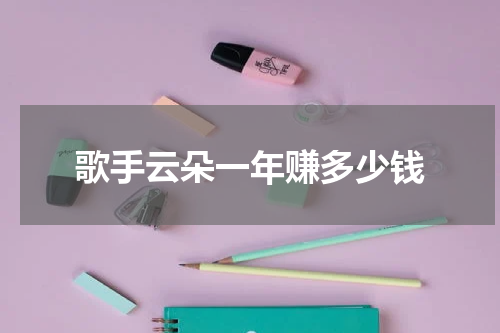 歌手云朵一年赚多少钱