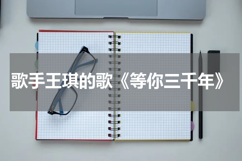歌手王琪的歌《等你三千年》