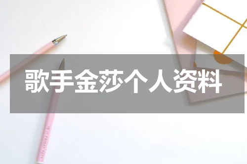 歌手金莎个人资料