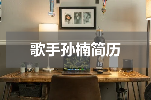 歌手孙楠简历