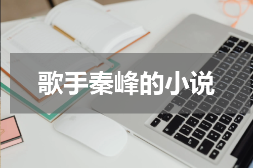 歌手秦峰的小说