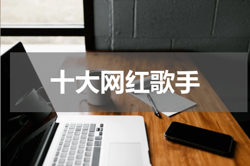 十大网红歌手
