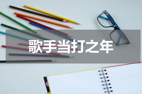 歌手当打之年