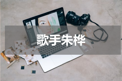 歌手朱桦