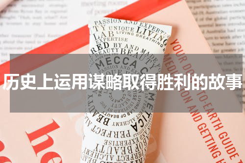 历史上运用谋略取得胜利的故事