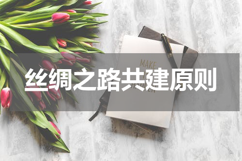 丝绸之路共建原则