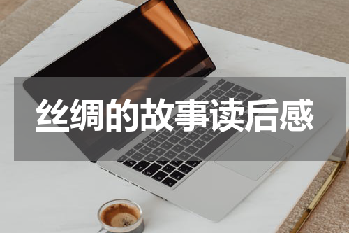 丝绸的故事读后感