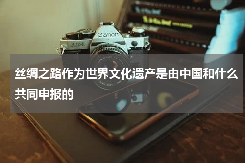 丝绸之路作为世界文化遗产是由中国和什么共同申报的