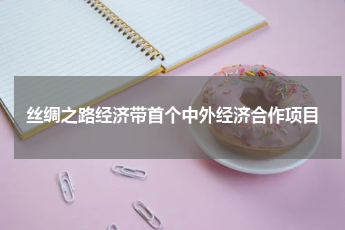 丝绸之路经济带首个中外经济合作项目