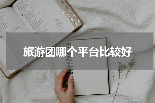 旅游团哪个平台比较好