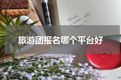 旅游团报名哪个平台好