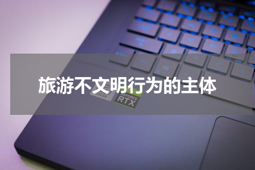 旅游不文明行为的主体