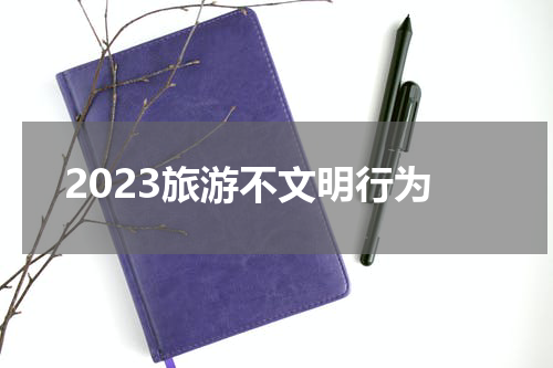 2023旅游不文明行为