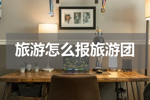 旅游怎么报旅游团