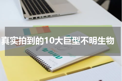 真实拍到的10大巨型不明生物