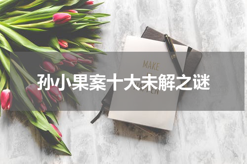 孙小果案十大未解之谜