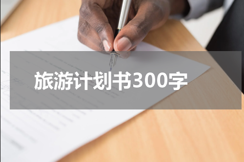 旅游计划书300字