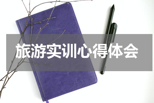 旅游实训心得体会