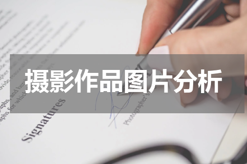 摄影作品图片分析