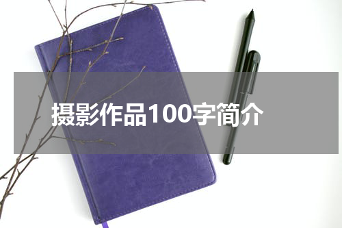 摄影作品100字简介
