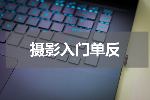 摄影入门单反
