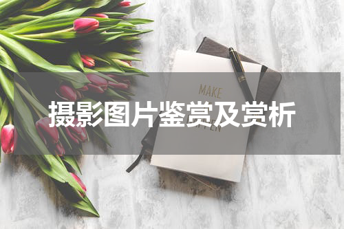 摄影图片鉴赏及赏析
